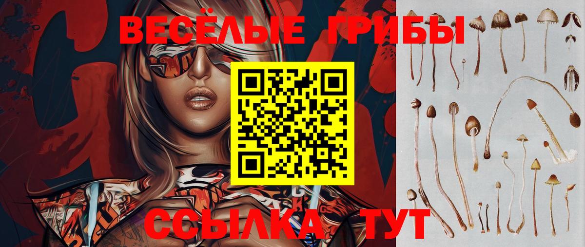 Галлюциногенные грибы мухоморы Кинель