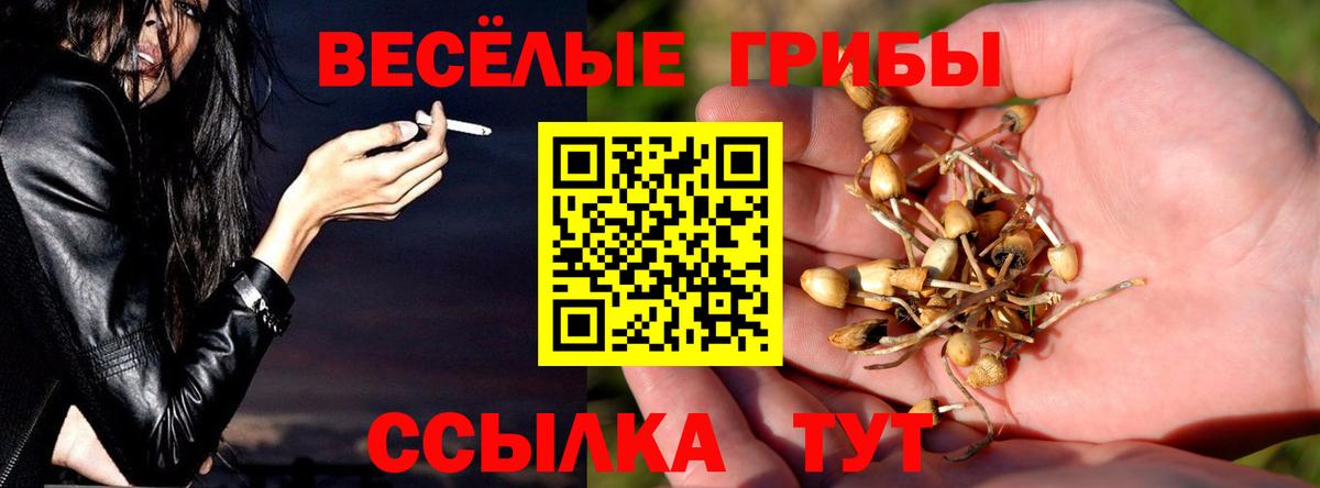 Кинель  Псилоцибиновые грибы Magic Shrooms  купить наркоту  Вход с VPN 